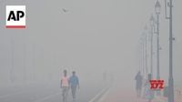 Thick, hazardous smog blankets New Delhi after Diwali fireworks (Video) - Social News XYZ