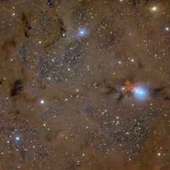 Stardust in Perseus