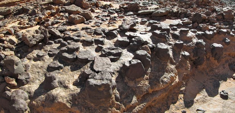 Cezayir, Talafazou Tadrart Tepeleri'nde stromatolit fosilleri.