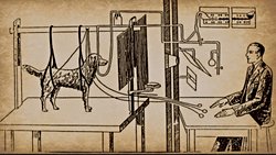 Pavlov’un Köpekleri ve Klasik Koşullanmanın Psikolojideki Yeri