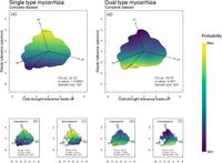 Contrasting mycorrhizal functionality in abiotic stress tolerance of woody species - Scientific Reports
