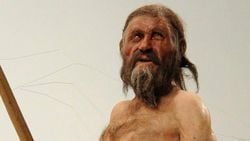 Ötzi Rus Kalpağı Benzeri Bir Şapka Takıyordu!