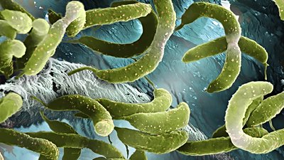 Bilim İnsanları Bakterilerin Dokunma Duyusuna Sahip Olduğunu Keşfettiler!