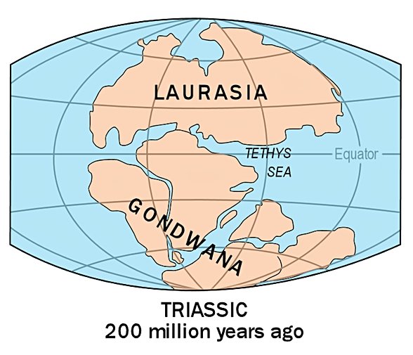Gondwana - Güney amerika, Afrika, Hindistan, Antartika ve Avustralyadan oluşan süper kıta