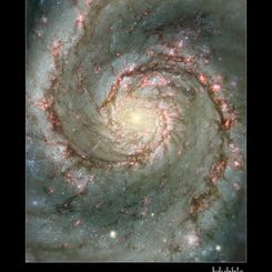 M51: The Whirlpool Galaxy in Dust and Stars