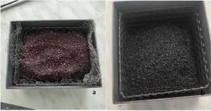 Chokeberry Biochar Enhances Performance Of Vegetable Lubricants