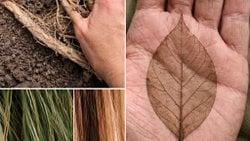 Evrim Sadece Biyolojik mi? Zamanın ve Bilincin Evrimi Üzerine