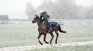 Snow Blankets Cheltenham Racecourse On Festival's Day Two