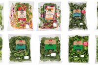 Contamination concerns prompt urgent recall of salad products across Tasmania