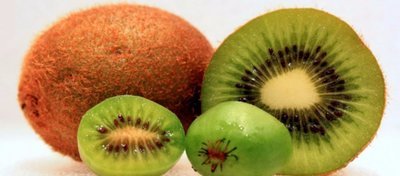 Kivi Bitkisinin Garip DNA Tarihi Ortaya Çıkarıldı!