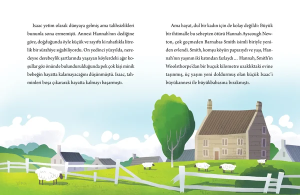 Dâhiler Sınıfı - Newton: Fizik Sihirbazı