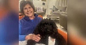 Massive Search For Savannah Guthrie’s Mother In Arizona