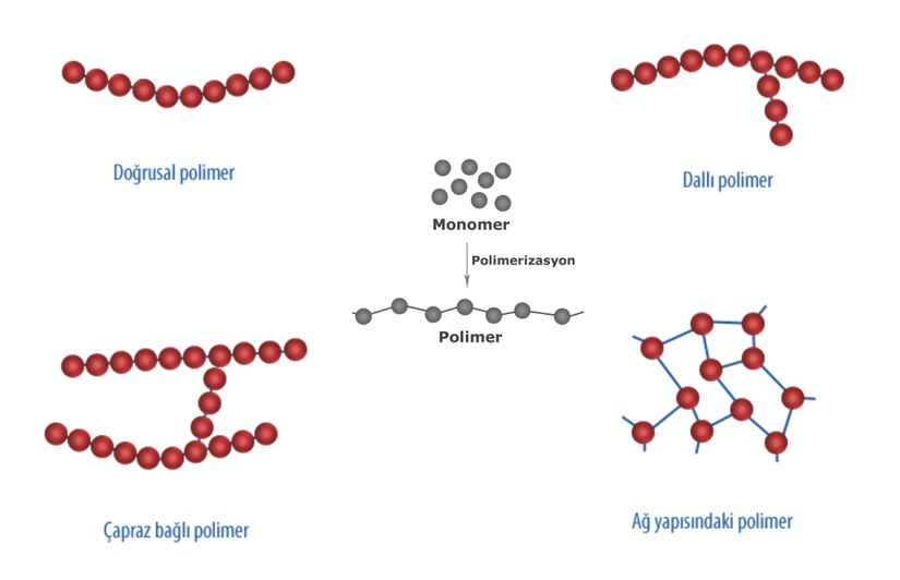 Monomer, polimer ve polimer çeşitleri.