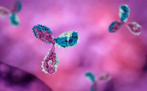 Ebola Antibody 3A6 Offers New Hope Against Virus