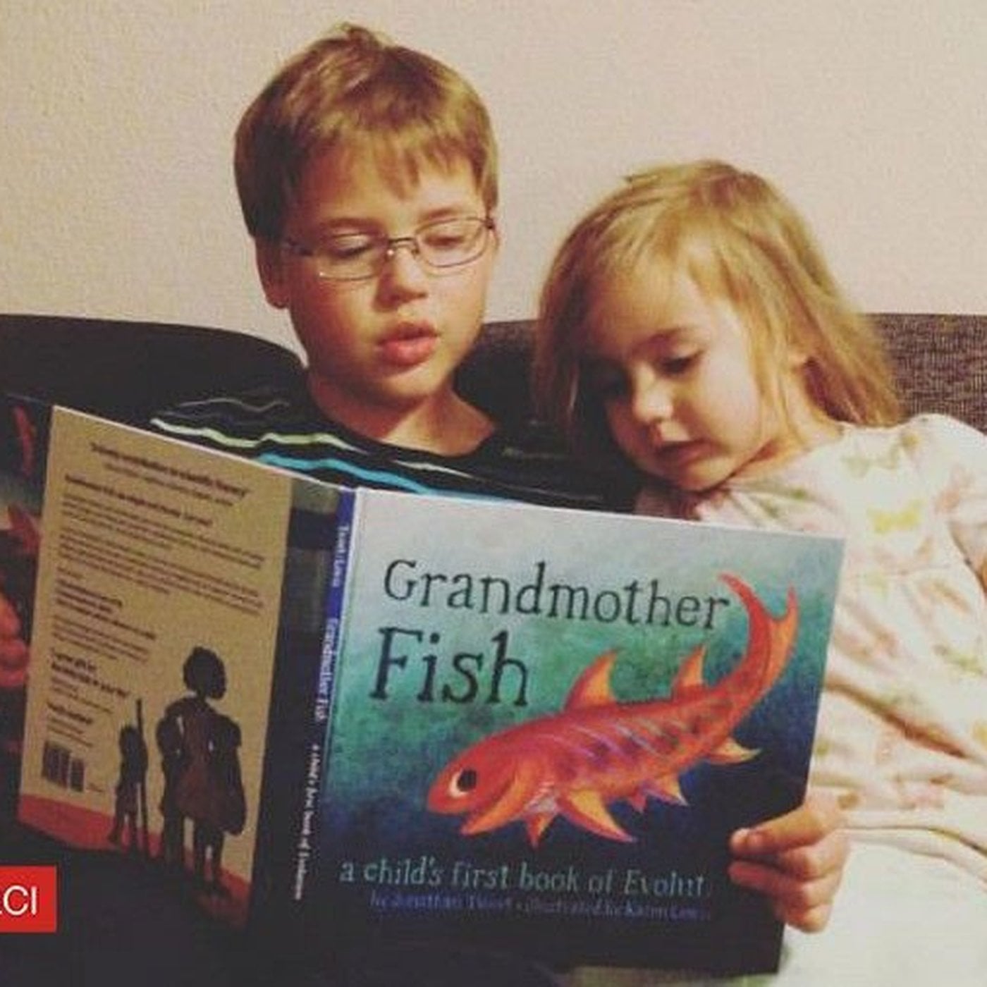 Evrim Ağacı ile Bilime Dair Her Şey!