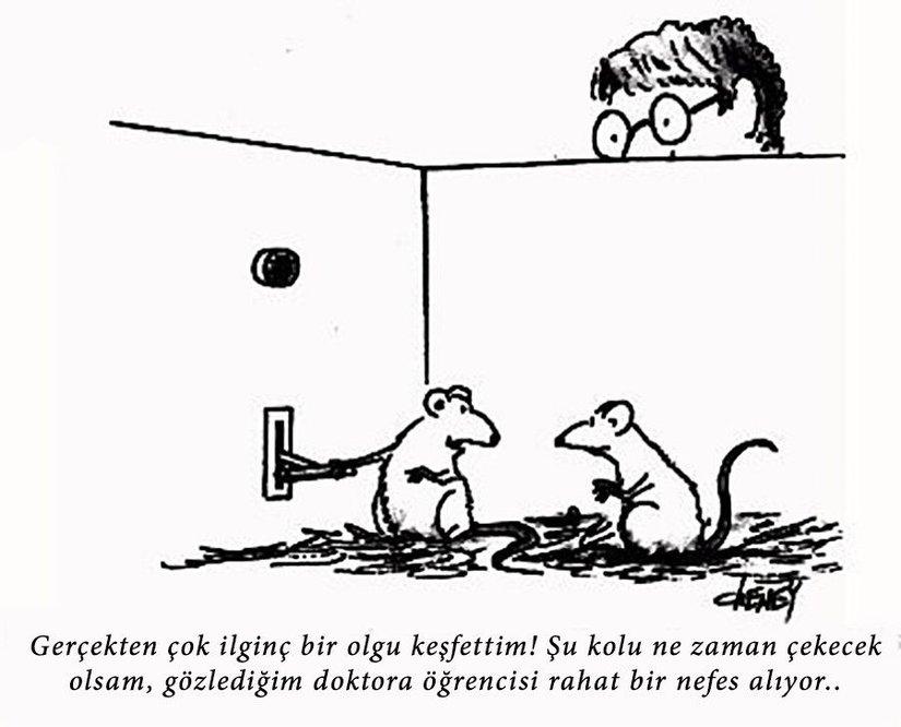 Koşullanma deneylerine ilginç bir diğer bakış açısı... Aslında gerçekten hoş bir noktaya parmak basılıyor. Günlük yaşantımızda birçok şeye şartlanıyoruz; ancak bunlar bizim "normal davranışlarımız" olarak algılandığı için, onların klasik bir koşullanmadan ibaret olduğunun farkına varmıyoruz. Ancak aynı zamanda, diğer hayvan türlerinde gözlediğimiz klasik koşullanmanın sayısız örneğini, onların "ne kadar basit" davranışlar sergilediğine örnek olarak sunuyoruz. Halbuki kendi davranış kalıplarımızın büyük bir kısmı, aynı şartlanmalardan oluşuyor. Sadece bizimkisi çok daha kapsamlı ve çok daha iç içe geçmiş halde...