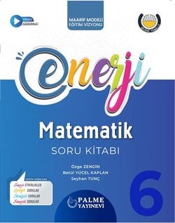 PALME 6.SINIF ENERJİ MATEMATİK SORU KİTABI