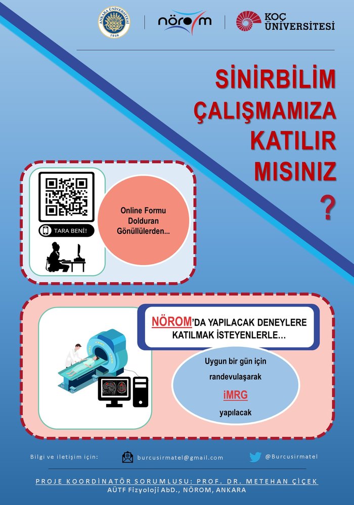 Beyinde Uzay, Zaman ve Sayı Tez Anketi