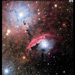 Stars, Dust and Nebula in NGC 6559