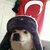 Enis Kızıl