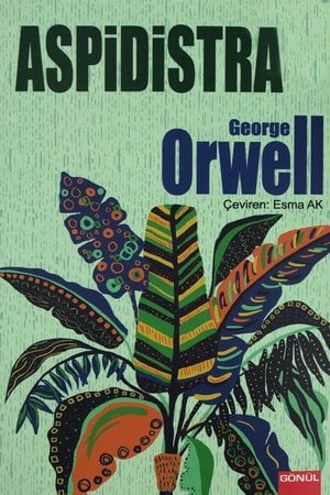 Aspidistra