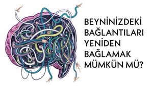 Nöroplastisite Nedir? Beynimiz, Değişen Çevre Koşullarda Kendisini Nasıl Değiştirir?