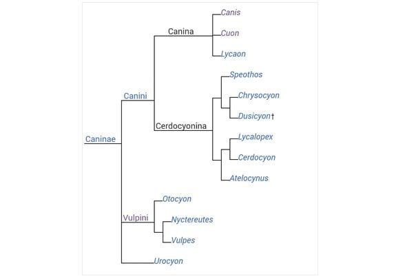 Şema üzerinden gösterimi.