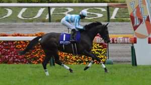 Kyoto Horse Racing Canceled Due To Heavy Snow