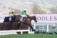 Grand National 2025: Inothewayurthinkin out – full list of latest entries