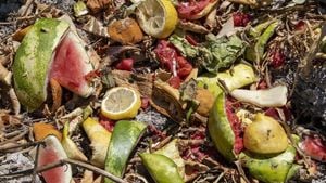 Innovative Moves To Combat Food Waste Transforming Hospitality And Sports