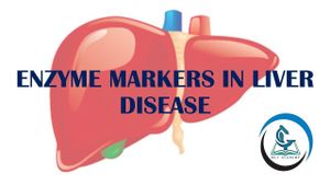 New Insights Into Hs-CRP/HDL-C Index And Liver Diseases