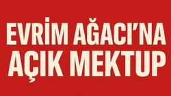 Evrim Ağacı Yazarından Evrim Ağacı Yönetimine Açık Mektup