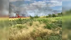 Forest Fire Erupts Near Kawakami Village, Nara Prefecture