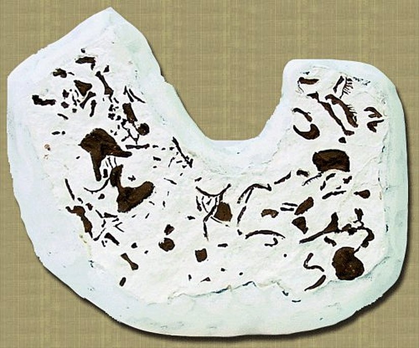 Paleothyris (Fosil - 2)