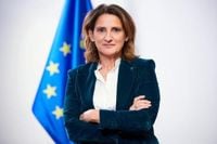 EU official calls Israel’s Gaza actions genocide in strongest Brussels condemnation