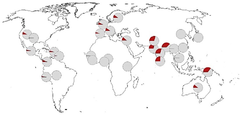 Dilim grafikleri, riskli genlerin oranlarının dağılımını gösteriyor.