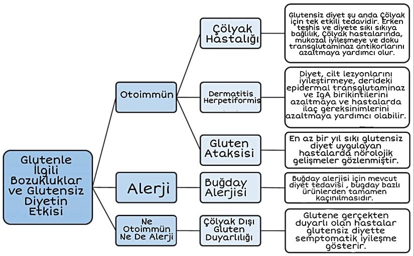 Glütensiz diyetin glütenle ilişkili bozuklukların sonuçları üzerindeki etkilerinin özeti.