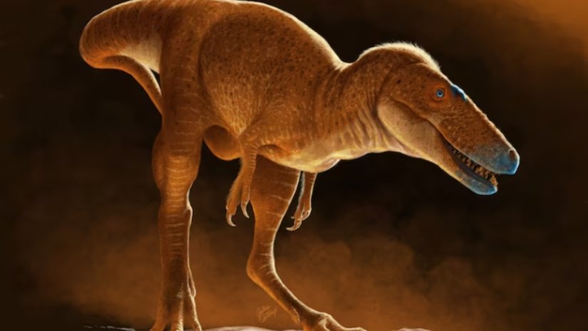 T. Rex'in Kayıp Atası "Ejder Prens" Keşfedildi!