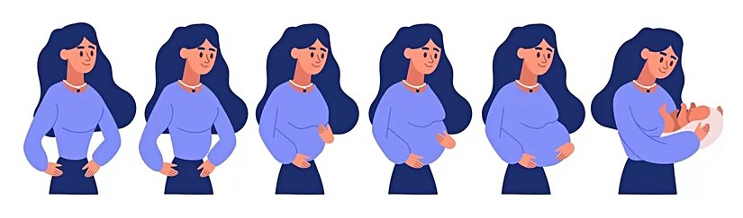 Hamilelik sürecini anlatan temsili bir görsel.