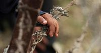 A look at India and Pakistan's history of strife