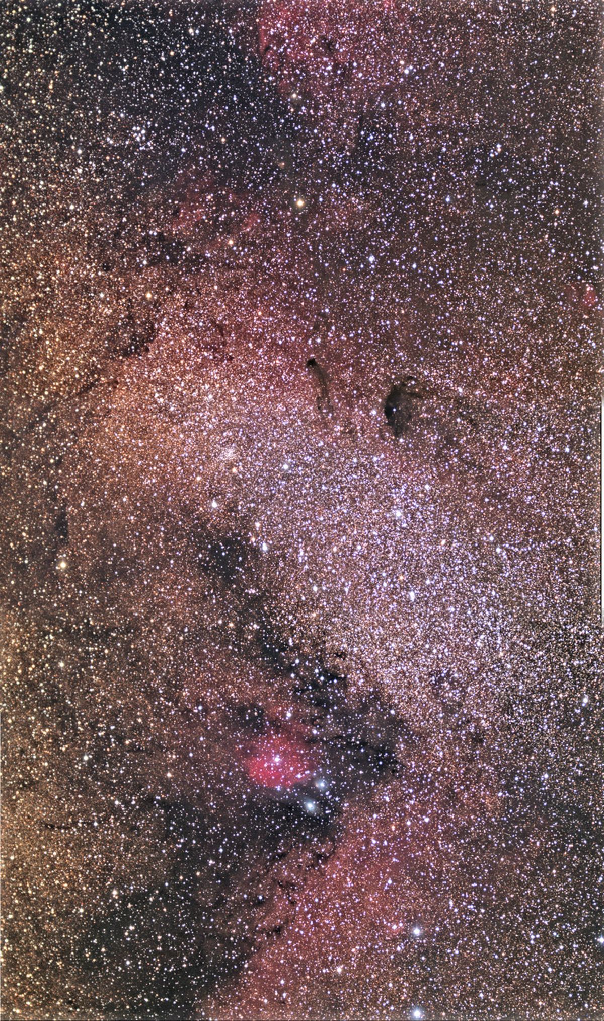 M24: A Sagittarius Starscape