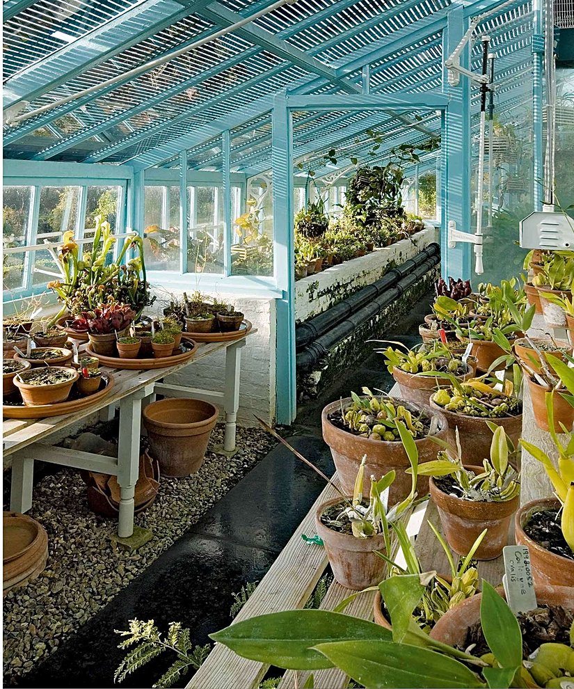 Darwinlerin Down House evindeki sera. Charles Darwin bitkilerle ilgili pek çok deneyini bu serada gerçekleştirdi.