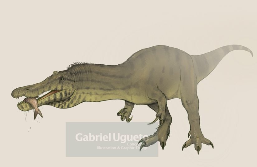 Baryonyx walkeri türü spinozor türünün bilimsel açıdan tutarlı bir rekonstrüksiyonu.