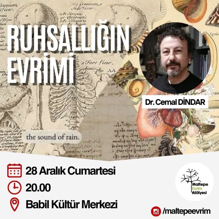 Ruhsallığı Evrimi - Maltepe Evrim Atölyesi