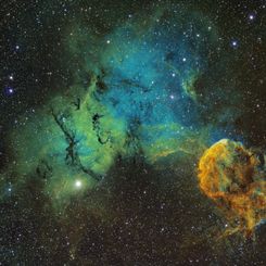 The Elusive Jellyfish Nebula