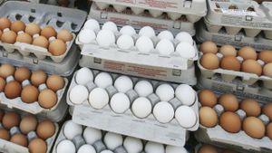 Egg Prices Surge To Record High Due To Avian Flu