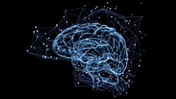 Beyinlerimiz deterministik mi işler?