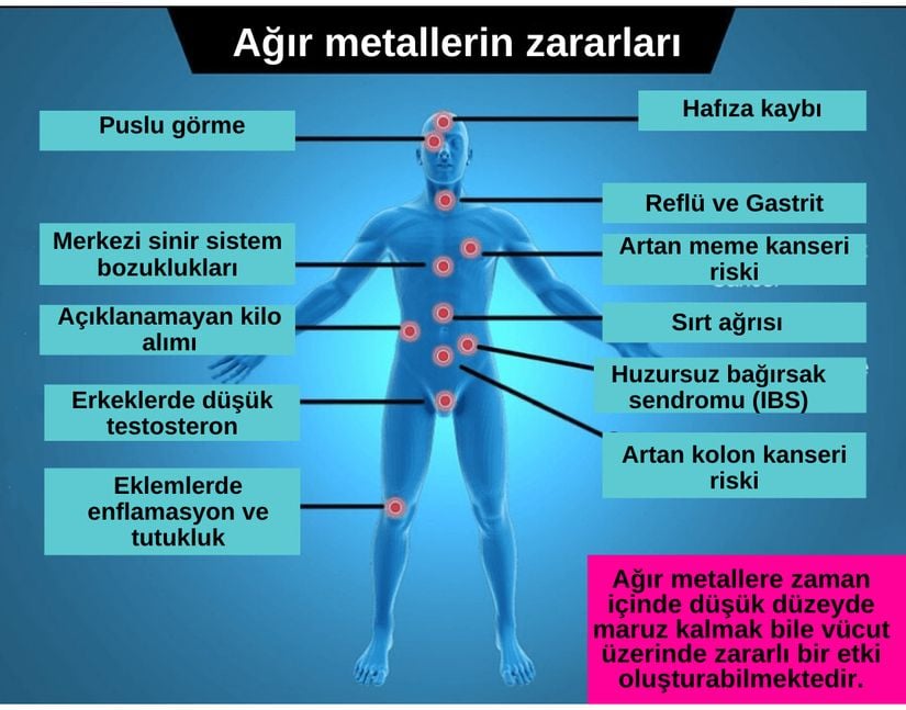 Ağır Metallerin İnsan Vücuduna Zararları