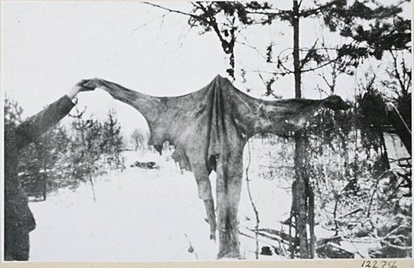 2. Dünya Savaşı'nda Finli asker yenilmiş Rus askerinin derisini göstermektedir.