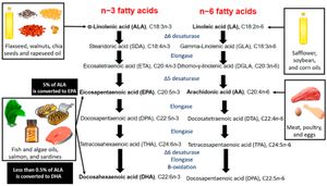 Lipids Found To Boost Hair Growth Via HIF-1 Pathway